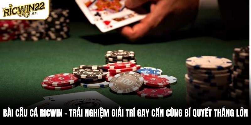 Bài Câu Cá