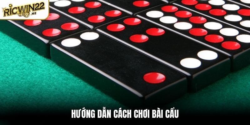 Hướng dẫn cách chơi bài Cẩu