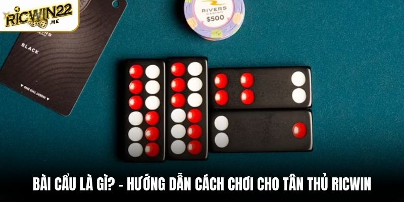 Bài Cẩu