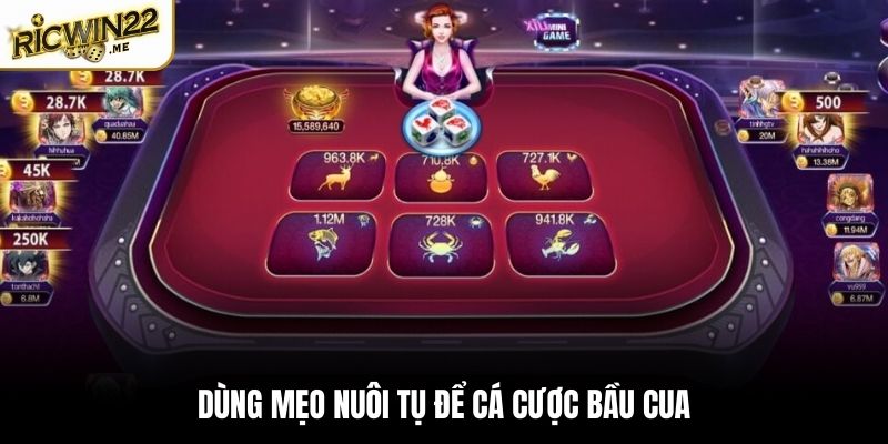 Dùng mẹo nuôi tụ để cá cược Bầu Cua