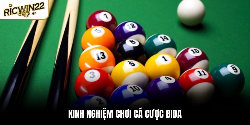 Kinh nghiệm chơi cá cược Bida cực hiệu quả từ cao thủ