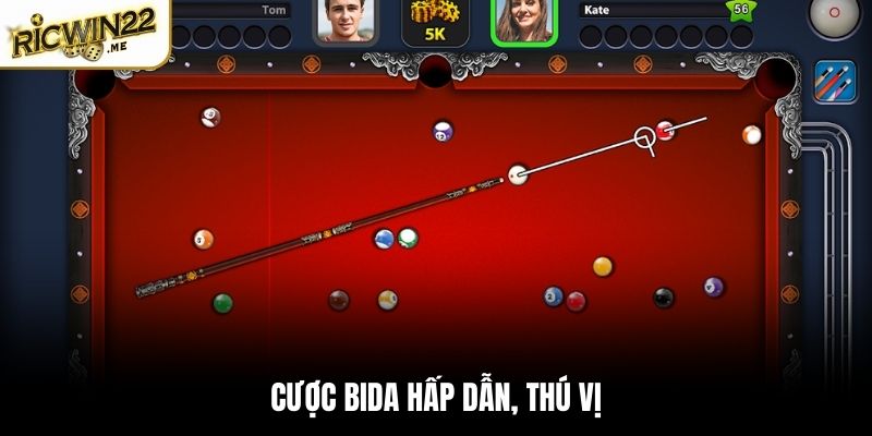 Cá cược Bida vô cùng hấp dẫn, thú vị 