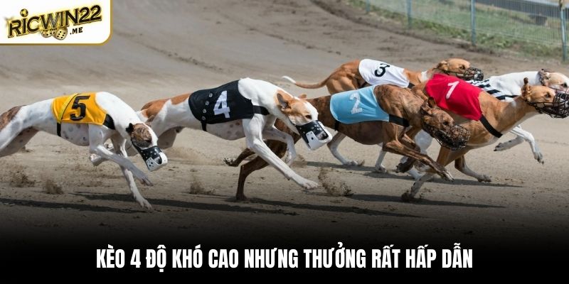 Kèo 4 độ khó cao nhưng thưởng rất hấp dẫn
