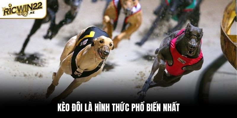 Kèo đôi là hình thức phổ biến nhất