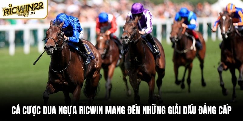 Cá cược đua ngựa Ricwin mang đến những giải đấu đẳng cấp