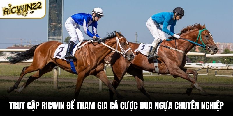 Truy cập Ricwin để tham gia cá cược đua ngựa chuyên nghiệp