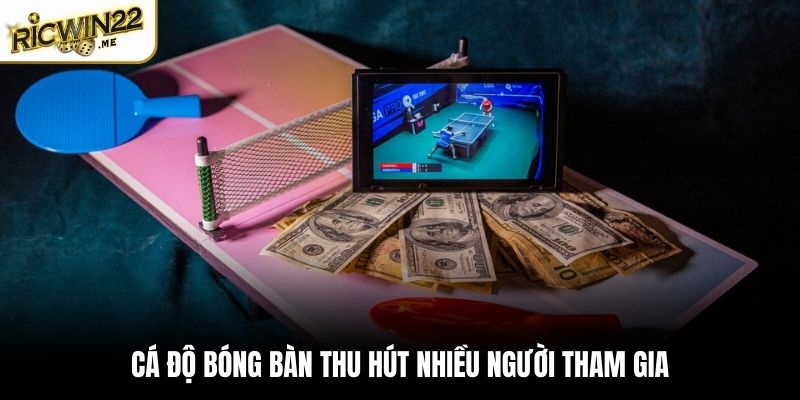 Cá độ bóng bàn thu hút nhiều người tham gia