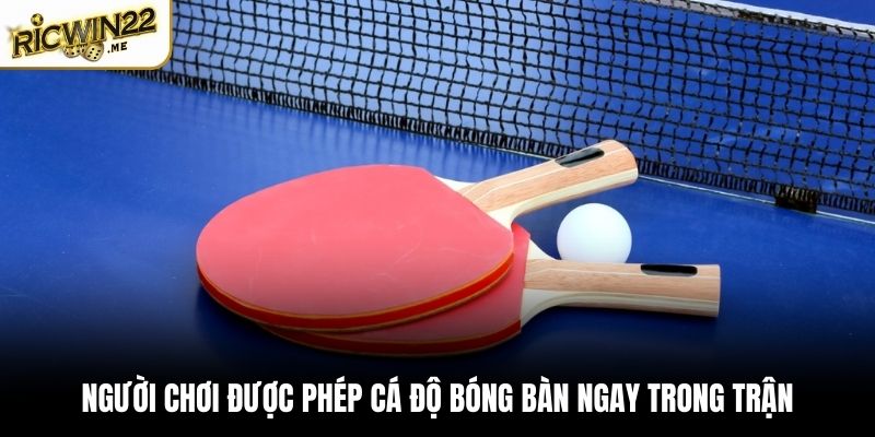 Người chơi được phép cá độ bóng bàn ngay trong trận