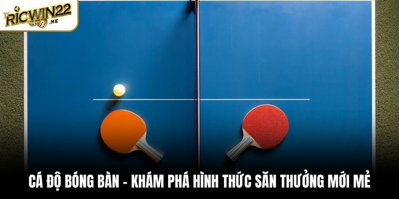 Cá độ bóng bàn