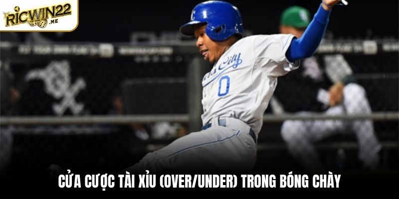 Cửa cược tài xỉu (over/under) trong bóng chày