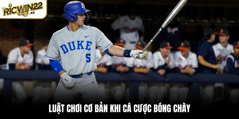 Cửa cược thiết lập trong cá độ bóng chày