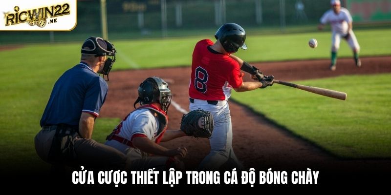 Luật chơi cơ bản khi cá cược bóng chày