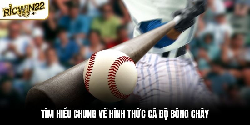 Cá độ bóng chày