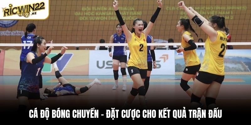 Cá độ bóng chuyền thu hút 40% hội viên