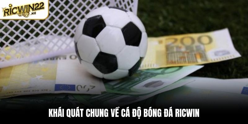 Khái quát chung về cá độ bóng đá Ricwin