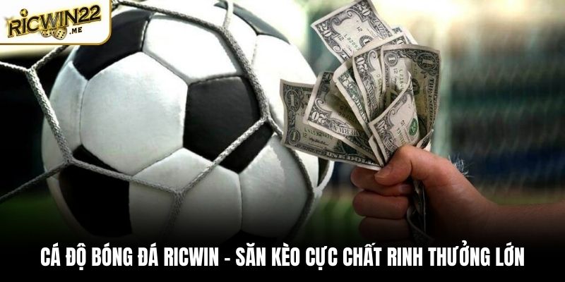 cá độ bóng đá