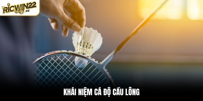 Khái niệm về cá độ cầu lông