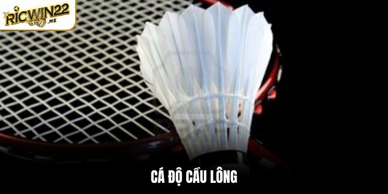 Cá độ cầu lông