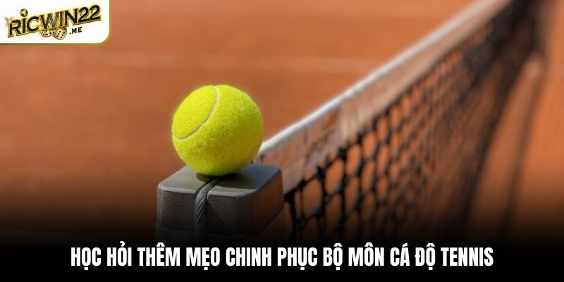 Học hỏi thêm mẹo chinh phục bộ môn cá độ tennis