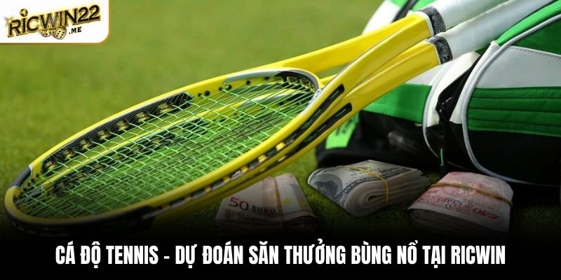 Cá độ tennis