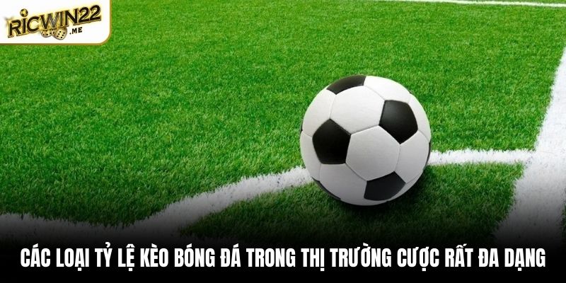 Các loại tỷ lệ kèo bóng đá trong thị trường cược rất đa dạng