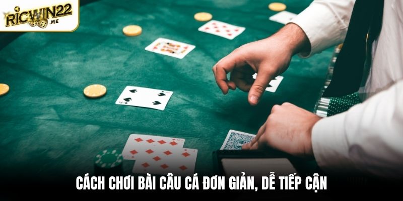 Cách chơi bài Câu Cá đơn giản, dễ tiếp cận