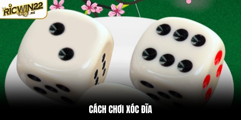 Cách chơi Xóc Đĩa