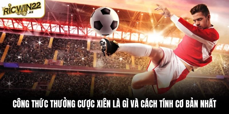 Công thức thưởng cược xiên là gì và cách tính cơ bản nhất
