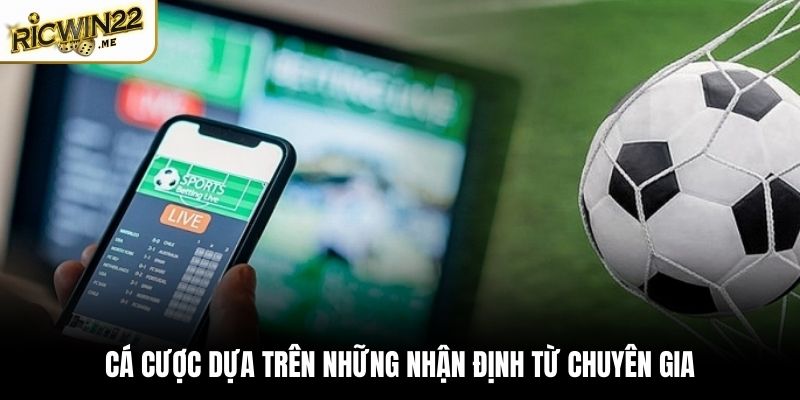 Mẹo chơi cá cược với những nhận định tham khảo từ chuyên gia