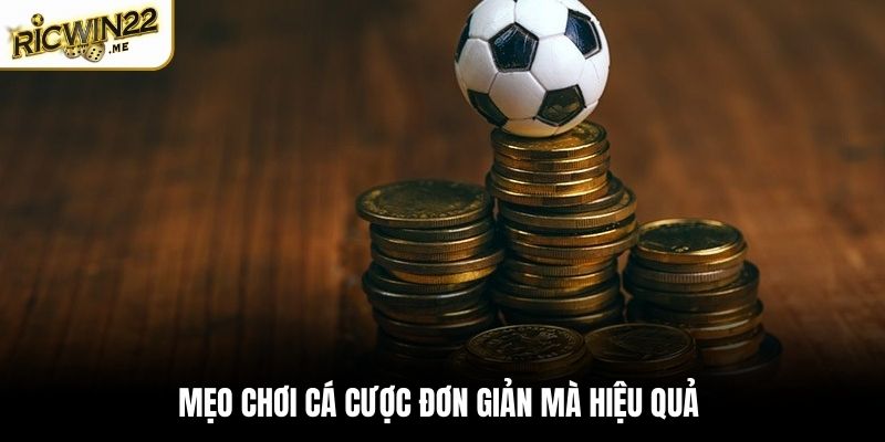 Mẹo chơi cá cược